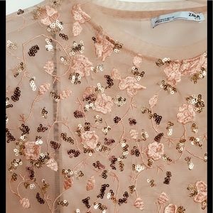 Zara Tulle Embroidered and Sequined Top